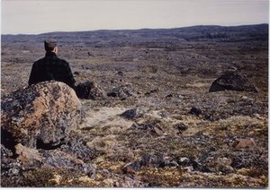 Hodge, Walter Henricks