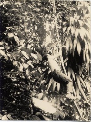 Hodge, Walter Henricks