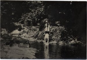 Hodge, Walter Henricks