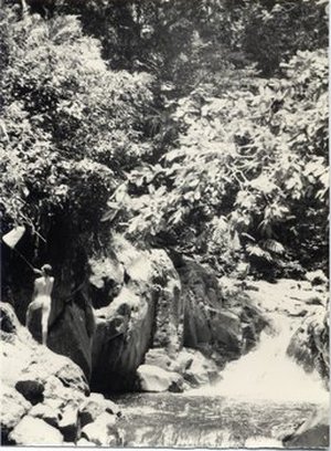 Hodge, Walter Henricks