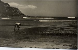 Hodge, Walter Henricks