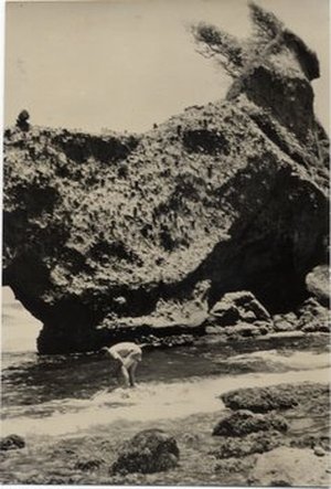 Hodge, Walter Henricks