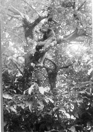 Hodge, Walter Henricks