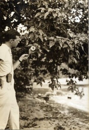 Hodge, Walter Henricks