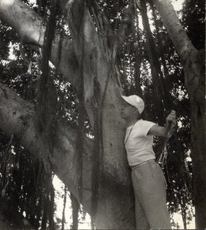 Hodge, Walter Henricks