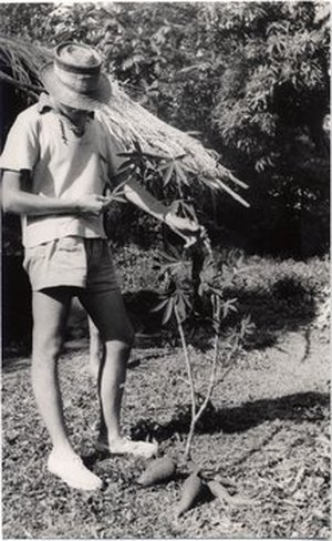 Hodge, Walter Henricks