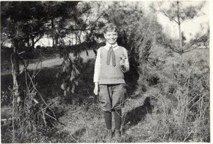 Hodge, Walter Henricks