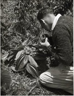 Hodge, Walter Henricks