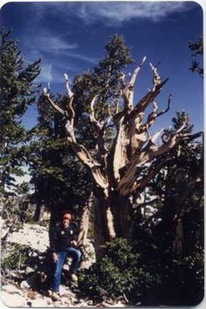 Hodge, Walter Henricks