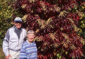 Hodge, Walter Henricks