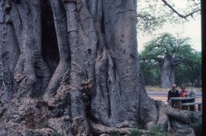 Hodge, Walter Henricks