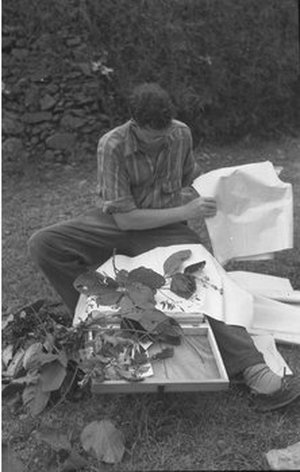 Hodge, Walter Henricks