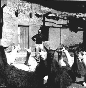 Hodge, Walter Henricks