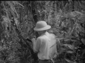 Hodge, Walter Henricks