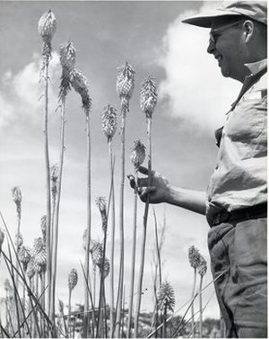 Hodge, Walter Henricks