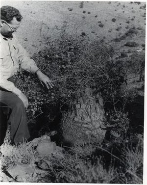 Hodge, Walter Henricks