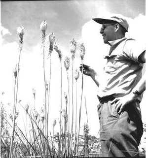 Hodge, Walter Henricks