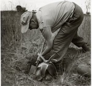 Hodge, Walter Henricks