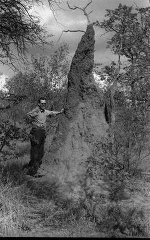 Hodge, Walter Henricks