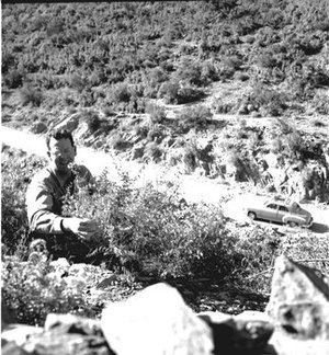 Hodge, Walter Henricks