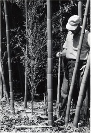 Hodge, Walter Henricks