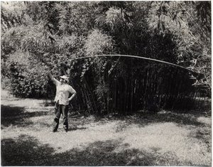 Hodge, Walter Henricks