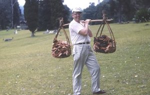 Hodge, Walter Henricks