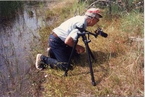 Hodge, Walter Henricks