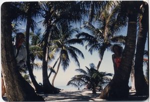 Hodge, Walter Henricks