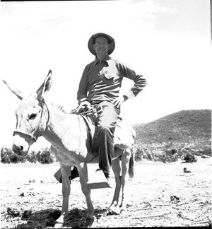 Hodge, Walter Henricks