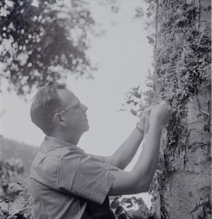 Hodge, Walter Henricks