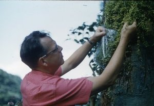 Hodge, Walter Henricks