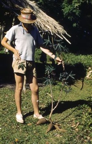 Hodge, Walter Henricks