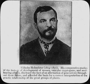 Hofmeister, Wilhelm Freidrich Benedikt