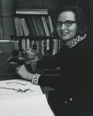 Holmgren, Patricia Kern