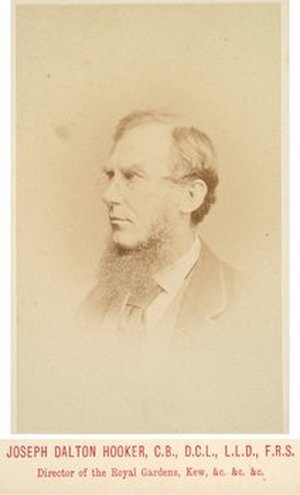 Hooker, Joseph Dalton Sir