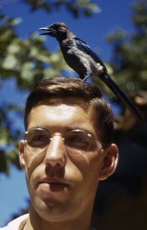 Howard, Richard Alden