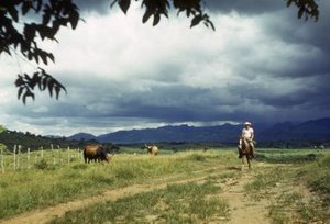 Howard, Richard Alden