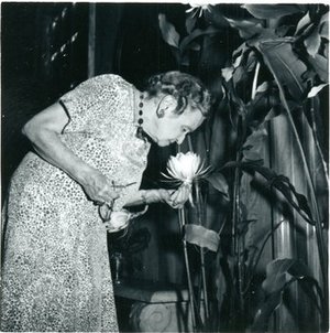 Hunt, Rachel McMasters Miller