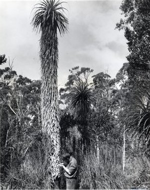 Jackson, William (b)