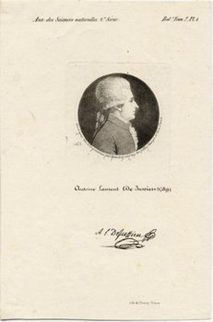 Jussieu, Antoine Laurent de