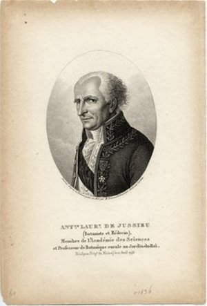 Jussieu, Antoine Laurent de