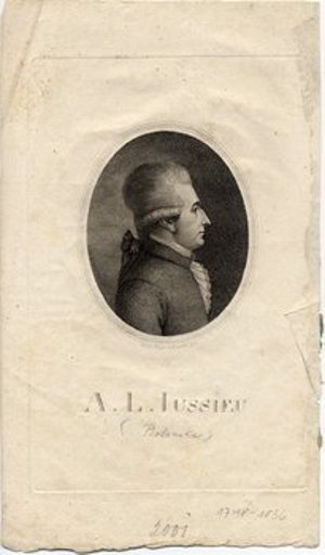 Jussieu, Antoine Laurent de