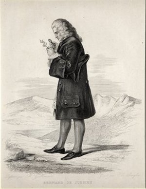 Jussieu, Bernard de