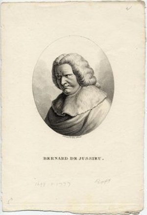 Jussieu, Bernard de