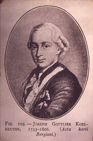 Kölreuter, Joseph Gottlieb
