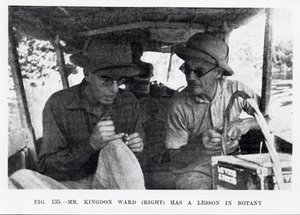 Kingdon-Ward, Frank