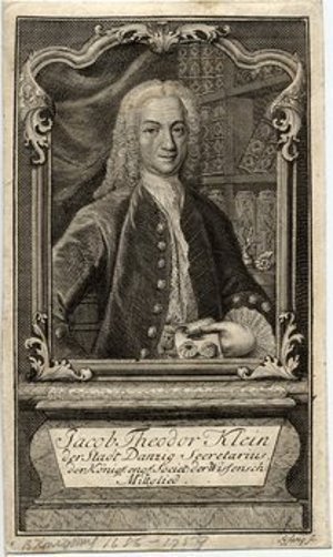 Klein, Jacob Theodor