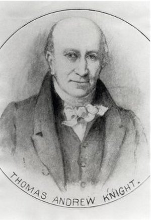Knight, Thomas Andrew