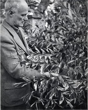 Knowlton, John E.